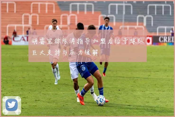 胡睿宝称陈涛指导加盟后给予球队巨大支持与压力缓解
